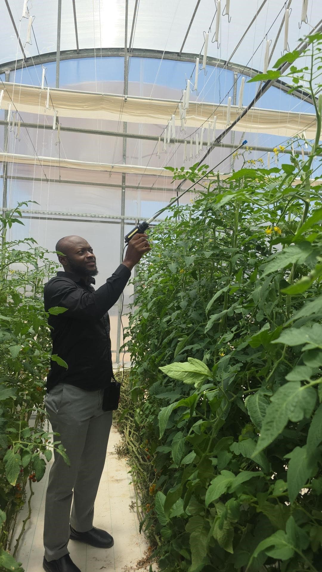 PollenMatic: A Compact, Versatile and Low-Cost Device for Efficient Pollination in Greenhouse Cultivation