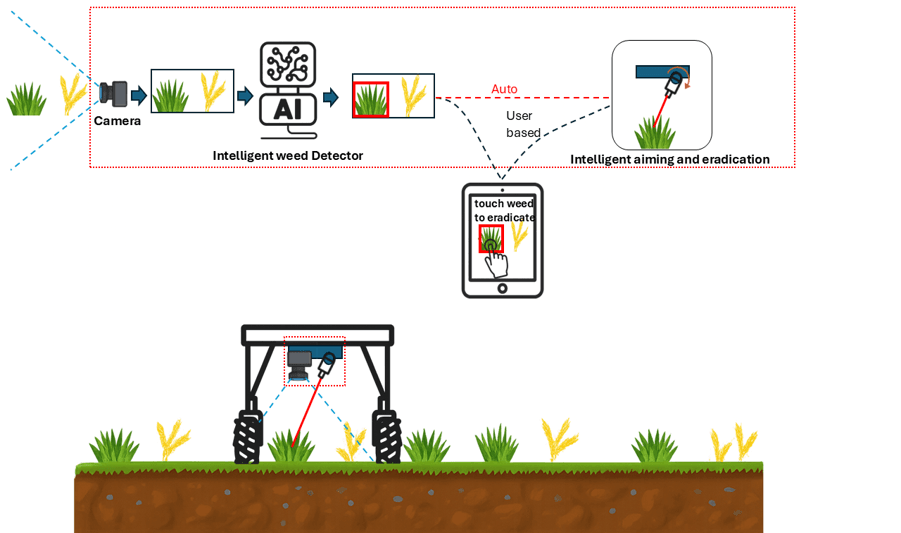 Autonomous Weed Detection and Removal in Quinoa Crops.