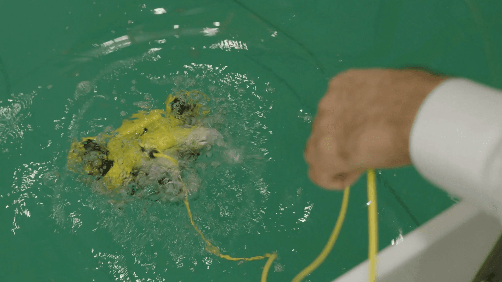 Pool testing